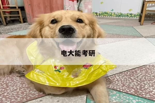 电大能考研