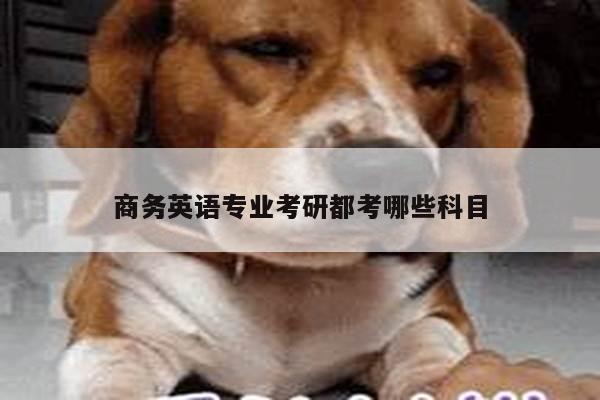 商务英语专业考研都考哪些科目