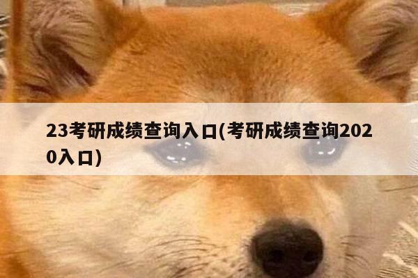 23考研成绩查询入口(考研成绩查询2020入口)