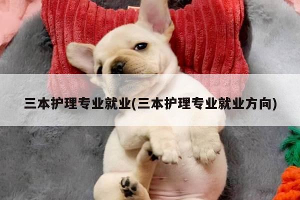 三本护理专业就业(三本护理专业就业方向)