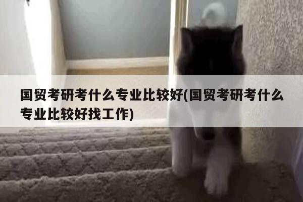 国贸考研考什么专业比较好(国贸考研考什么专业比较好找工作)
