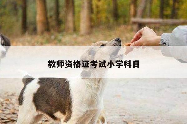 教师资格证考试小学科目