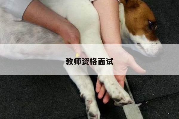 教师资格面试