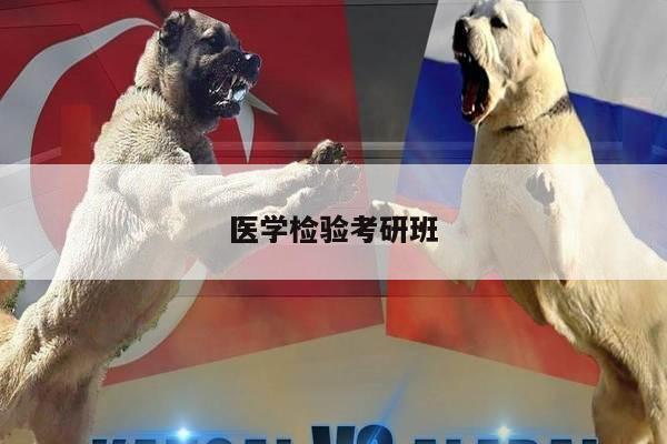 医学检验考研班