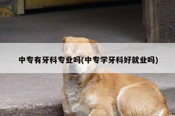 中专有牙科专业吗(中专学牙科好就业吗)