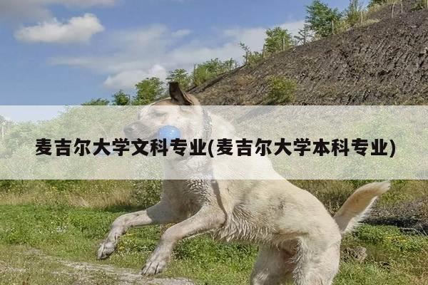 麦吉尔大学文科专业(麦吉尔大学本科专业)