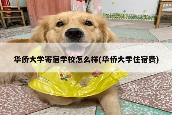 华侨大学寄宿学校怎么样(华侨大学住宿费)