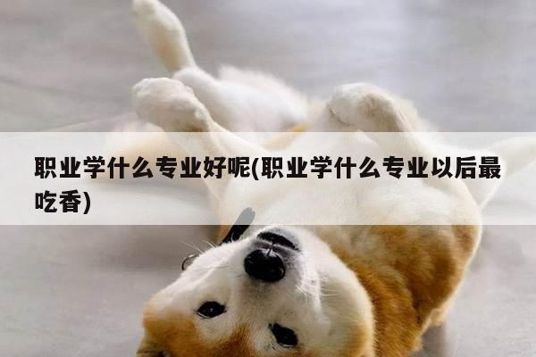 职业学什么专业好呢(职业学什么专业以后最吃香)