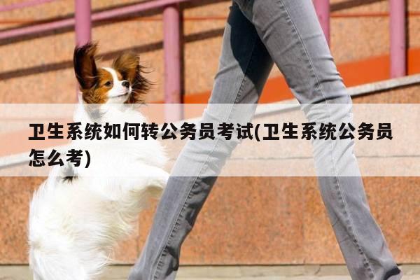 卫生系统如何转公务员考试(卫生系统公务员怎么考)