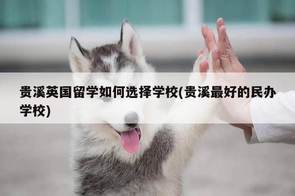 贵溪英国留学如何选择学校(贵溪最好的民办学校)