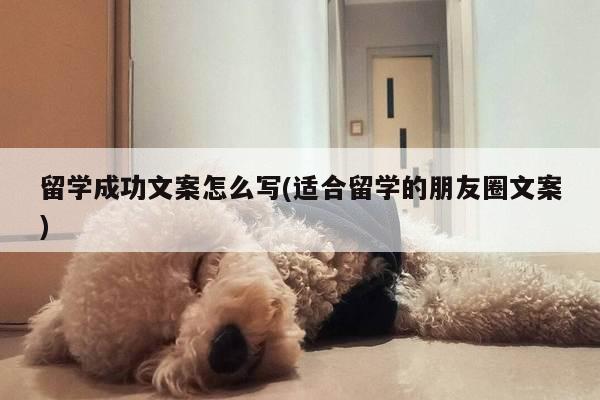 留学成功文案怎么写(适合留学的朋友圈文案)