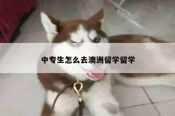 中专生怎么去澳洲留学留学
