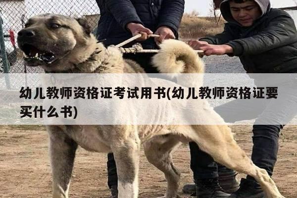 幼儿教师资格证考试用书(幼儿教师资格证要买什么书)