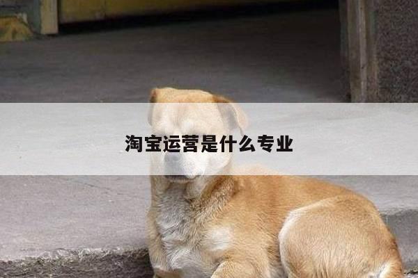 淘宝运营是什么专业