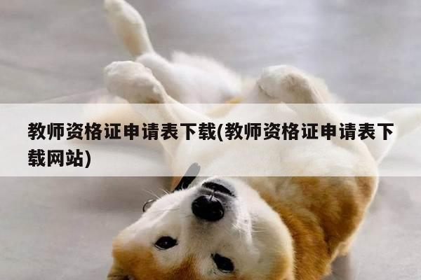 教师资格证申请表下载(教师资格证申请表下载网站)