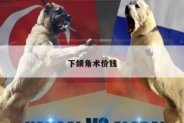 下颌角术价钱
