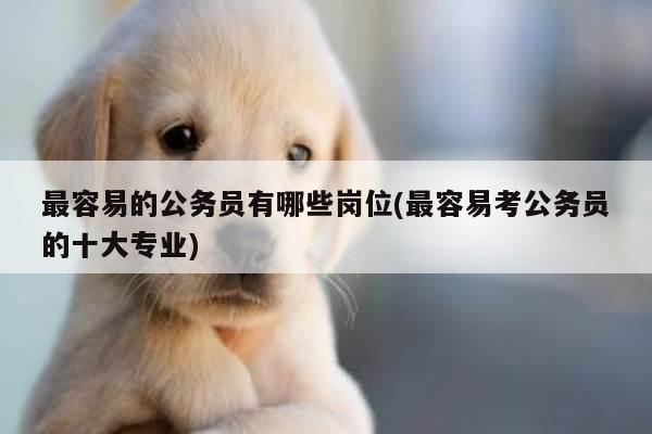 最容易的公务员有哪些岗位(最容易考公务员的十大专业)