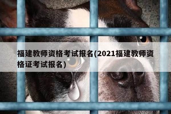 福建教师资格考试报名(2021福建教师资格证考试报名)