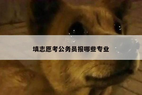 填志愿考公务员报哪些专业
