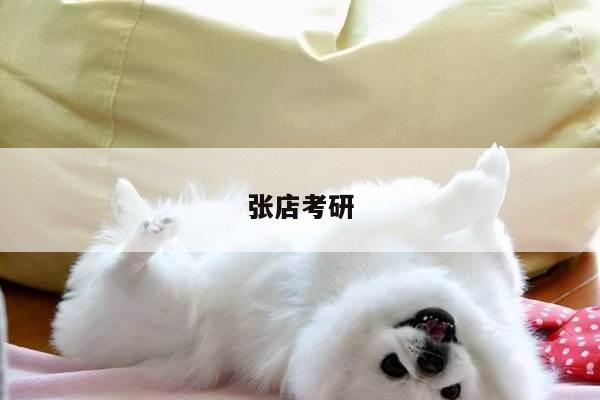 张店考研