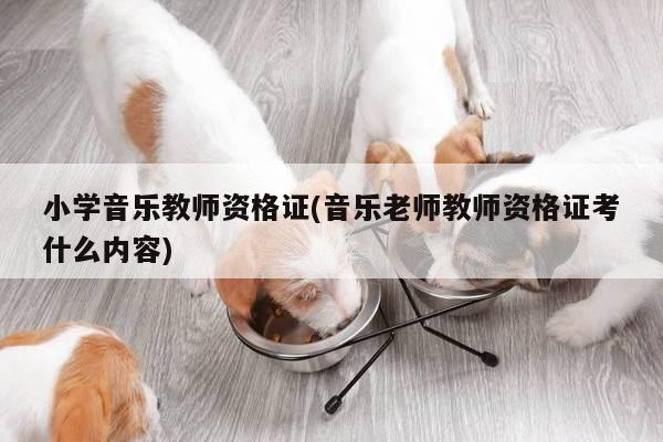 小学音乐教师资格证(音乐老师教师资格证考什么内容)