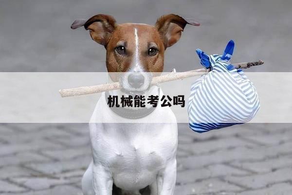 机械能考公吗