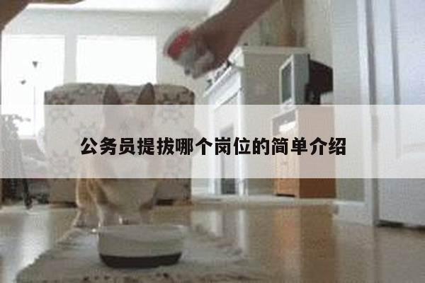 公务员提拔哪个岗位的简单介绍