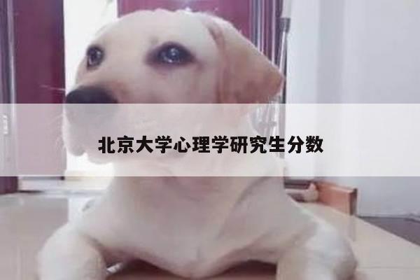 北京大学心理学研究生分数