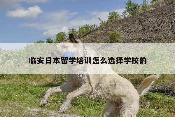 临安日本留学培训怎么选择学校的