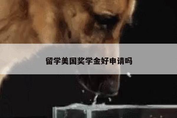 留学美国奖学金好申请吗