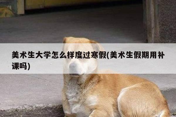 美术生大学怎么样度过寒假(美术生假期用补课吗)