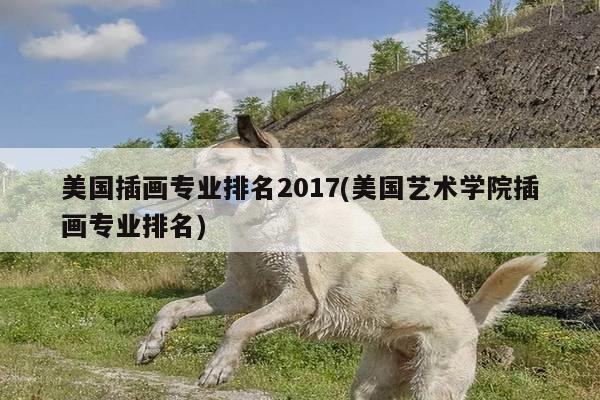 美国插画专业排名2017(美国艺术学院插画专业排名)
