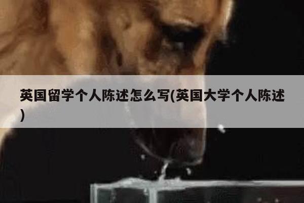 英国留学个人陈述怎么写(英国大学个人陈述)
