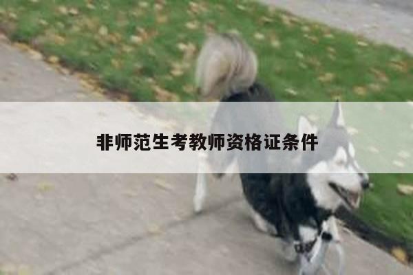 非师范生考教师资格证条件