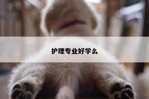 护理专业好学么