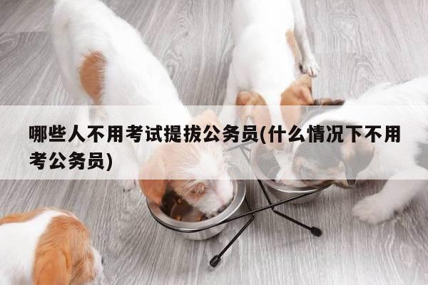 哪些人不用考试提拔公务员(什么情况下不用考公务员)