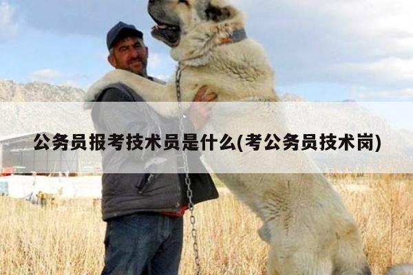 公务员报考技术员是什么(考公务员技术岗)