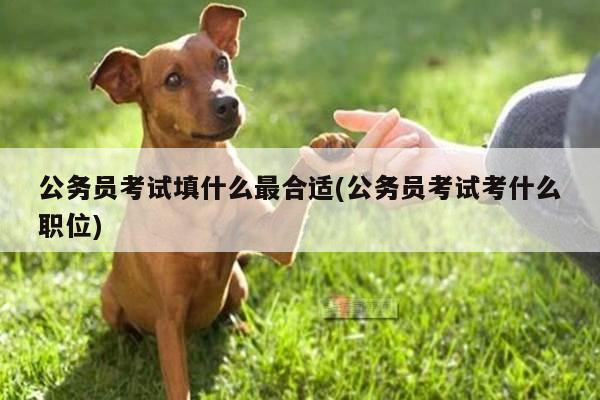 公务员考试填什么最合适(公务员考试考什么职位)