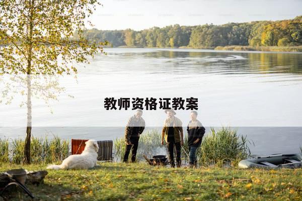 教师资格证教案