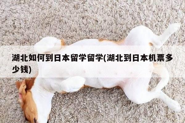湖北如何到日本留学留学(湖北到日本机票多少钱)