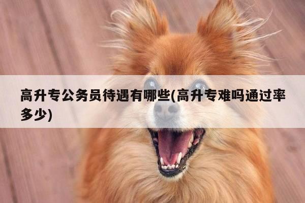 高升专公务员待遇有哪些(高升专难吗通过率多少)