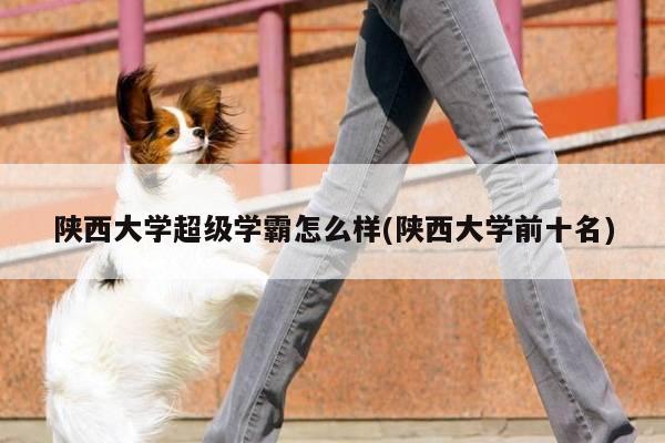 陕西大学超级学霸怎么样(陕西大学前十名)