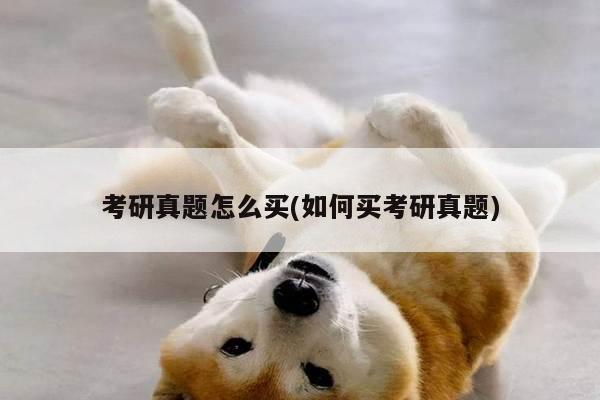考研真题怎么买(如何买考研真题)