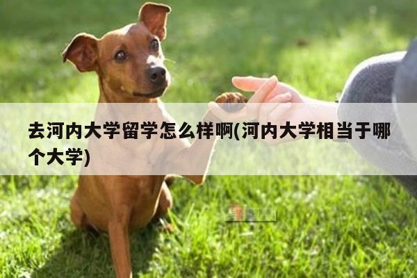 去河内大学留学怎么样啊(河内大学相当于哪个大学)