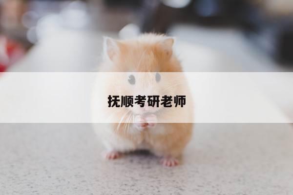 抚顺考研老师