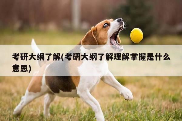 考研大纲了解(考研大纲了解理解掌握是什么意思)