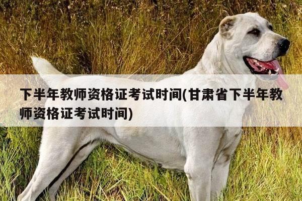 下半年教师资格证考试时间(甘肃省下半年教师资格证考试时间)