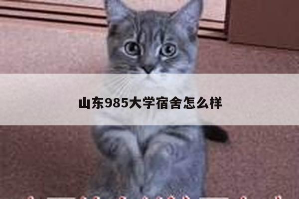 山东985大学宿舍怎么样