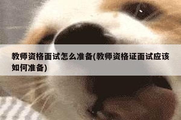 教师资格面试怎么准备(教师资格证面试应该如何准备)