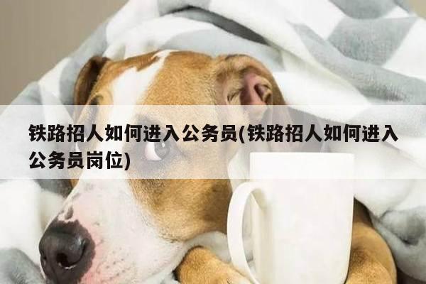 铁路招人如何进入公务员(铁路招人如何进入公务员岗位)